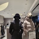 프리미엄 패딩 추천 노비스 nobis 아우라 셀레스트 다코타 셀린 실착 사이즈 비교 할인 가격인상