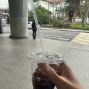 동성마을 (제주버스터미널방면) | 제주공항에서 금능해변까지 제주도 바다 보며 바다 버스 여행 후기