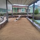 서울용답초등학교 이미지