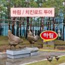 림푸드 | 하림ㅣ익산 하림 공장 푸드 투어 <치킨로드> 예약하고 견학 다녀온 후기