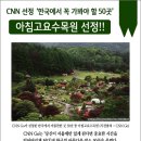 석지자원 이미지