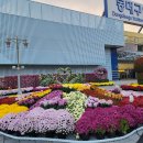 동대구역광장 이미지