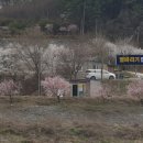 별바라기 캠핑 펜션 이미지