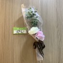 안만분반찬 | 마곡 벌스데이 산후조리원 VIP룸 음식/ 가격/ 마사지 후기