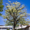 화순읍사무소 이미지