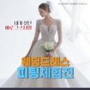신일전자, 2.5L 음식물처리기 출시 이미지