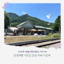 카페 가은역 | 문경여행 기찻길감성 카페 가은역