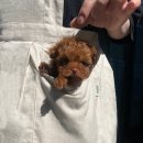 연제구-045 이미지