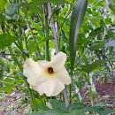 토골농장 이미지