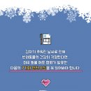 보성통증동물병원 이미지