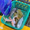 우성횟집 | 속초 횟집 추천 가성비 회포장 청호활어회센터 우성수산 후기