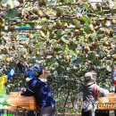 김진근농장 이미지