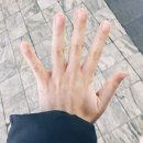 오블리뷰티&레푸스 이미지