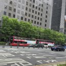 161-3-000168 | 4살 아이랑 서울 시티투어 버스 빨간버스 2층버스 후기