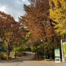 토함산자연휴양림 이미지