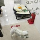 평천로115번길 이미지