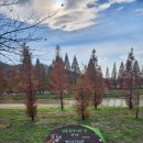 응천공원 이미지