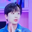 나이테주 이미지
