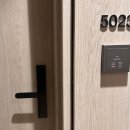 호텔더본제주 | [서귀포] 더본호텔 제주 평일 숙박후기(디럭스 트리플)