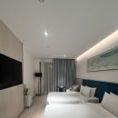 호텔디셈버 | 나트랑 호텔 추천! 디셈버 호텔 내돈내산 솔직후기｜조식·루프탑 수영장까지 총정리