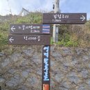 푸른로드