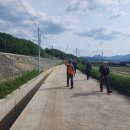 진군농장 이미지