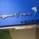 스윔키즈 | 구월동 어린이수영 아쿠아마린 키즈스윔 후기!