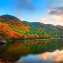 길 위에서 만나는 세계 문화 이미지