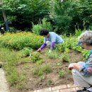 횡성시니어클럽 이미지