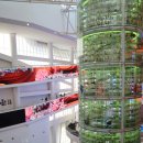 국립해양생물자원관 씨큐리움 | 서천 실내 가볼만한곳 국립해양생물자원관 씨큐리움