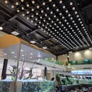 더하루 | 담양 수족관 카페 '카페 더하루' 간단 후기~!