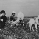 작전목장 이미지