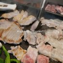 삼백호집
