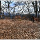 비봉산 정상부 이미지