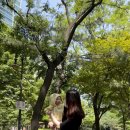 조현주헤어아트미용실 이미지