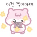 글로벌마트 이미지