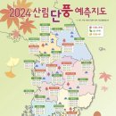 ♥︎2024년 산림청 단풍 예측지도♥︎ 이미지