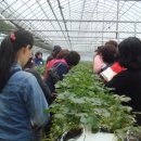 의야지바람마을 이미지