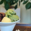 버드나무집 이미지