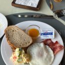 대한가스 | 제주여행🌱 | 3️⃣일차 : 사려니숲길, 당오름, 우정원베이커리, 제주해녀박물관, 재연식당, 돌담통닭