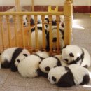 보송보송 이미지