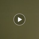 시노컬렉션