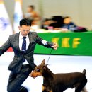 베스트인쇼 - 수원시 장안구 경수대로995번길 11-27 | 베스트인쇼