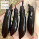 바른야채 이미지