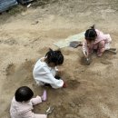 내남오리