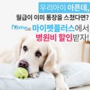 펫플러스 - 수성구 범안로 25 | 펫플러스