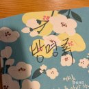 세화 | 제주도 게스트하우스 혼자 여행, 조용하지만 특별한 &#39;그리고 세화&#39; 후기
