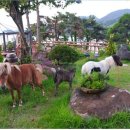 마리조아펜션 | 통영 펜션 추천, 마리조아펜션 후기
