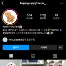 퍼피하우스 이미지