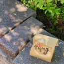 제주청개구리농원 | 순천여행 1박2일 #1 대숲골농원, 이마트 장보기, 감성 숙소 화담별서